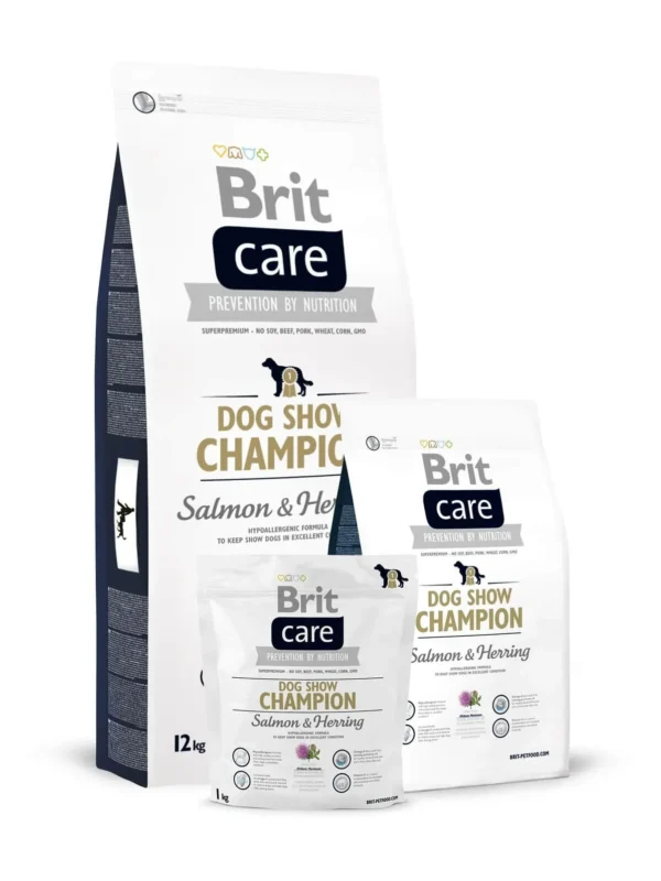 Brit Care Dog Show Champion